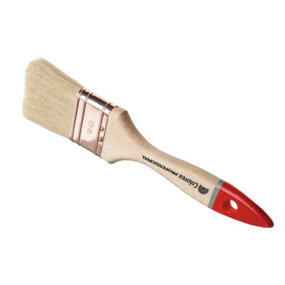 PENNELLESSA PROFESSIONALE 'TRIPLA' N. 20